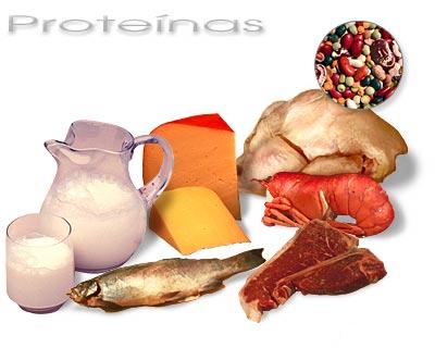 proteinas
