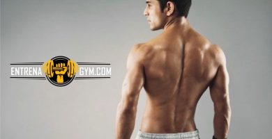 rutina-de-espalda-en-gimnasio